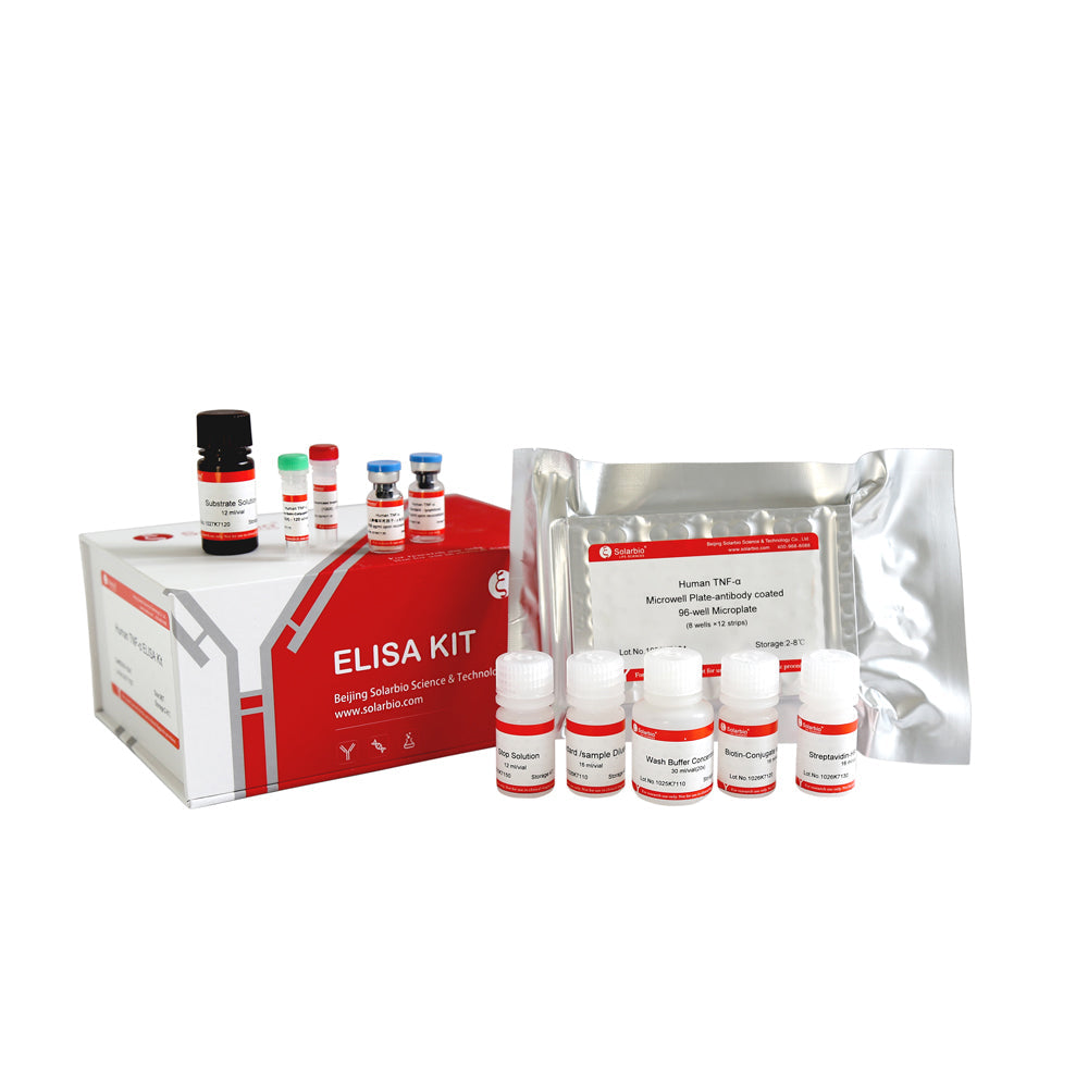 Human TNF-β ELISA KIT-96T, Lagerung bei 2–8 °C für maximale Stabilität